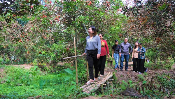 Gardeners in Con Son always renovate to keep the gardens fresh to serve tourists. Photo: Phong Linh