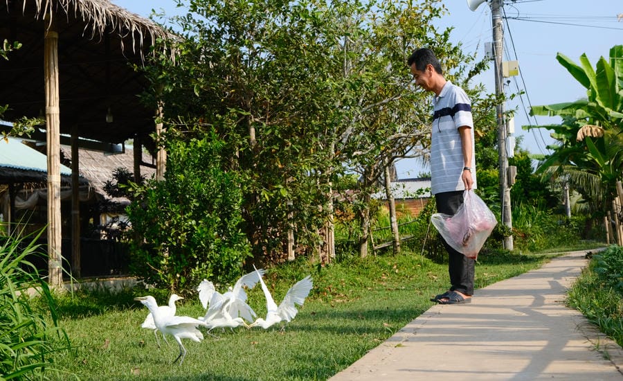 Người dân Cồn Sơn sống gần gũi với động vật hoang dã. Ảnh: Phong Linh