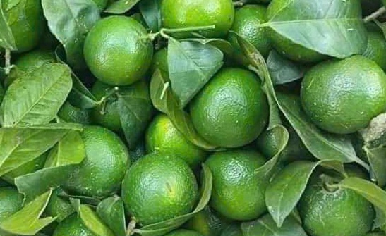 To drink lemon water that does not harm tooth enamel, you need to pay attention to some points. Photo: Kieu Vu
