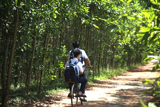 Close friends Vu and Khai on bicycles go to school every day, now both have become valedictorians of blocks A00 and A01 of Quang Tri province in the 2026 high school graduation exam. Photo: Hung Tho