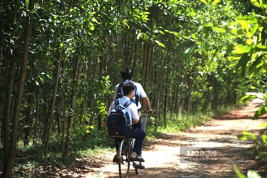Los mejores amigos Vũ y Khải en bicicleta van a la escuela todos los días, ahora ambos se han convertido en los mejores estudiantes de los bloques A00 y A01 de la provincia de Quảng Trị en el examen de graduación de la escuela secundaria superior de 2026. Foto: Hưng Thơ
