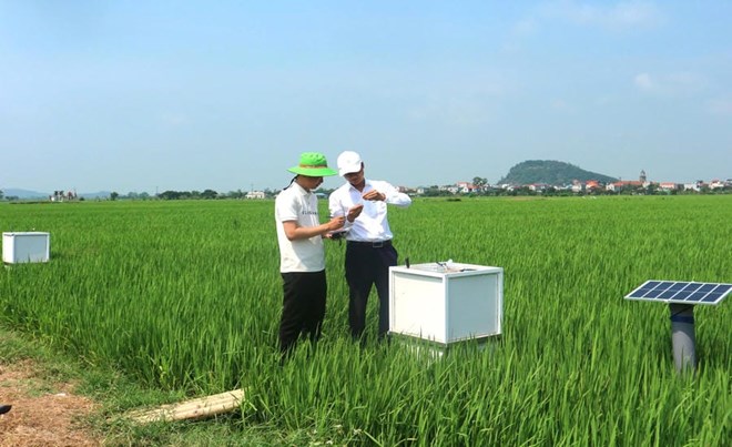 Nâng cao giá trị nông sản Việt từ sửa đổi Luật Bảo vệ môi trường