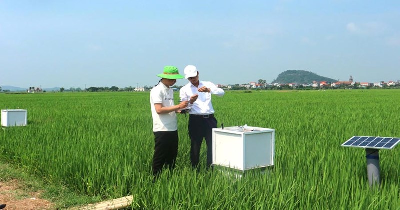 Improving the value of Vietnamese agricultural products from amending the Law on Environmental Protection