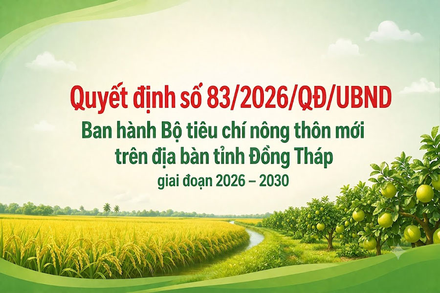 Dong Thap promulgates a set of criteria for new rural communes including 10 criteria, modern new rural communes must meet 9 criteria. Photo: Dong Thap Provincial e-Portal