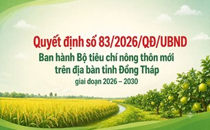 Đồng Tháp ban hành bộ tiêu chí xã nông thôn mới giai đoạn 2026-2030