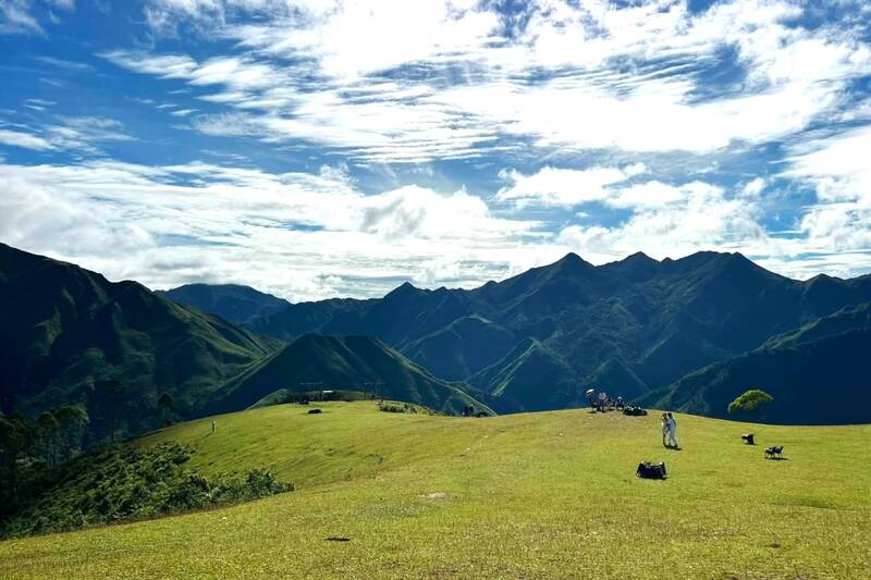 Đồng cỏ thảo nguyên Tà Xùa sau những ngày mưa. Ảnh: UBND xã Tà Xùa