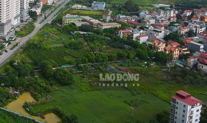 Hanoi is preparing to recover more than 11ha of land in Dai Mo ward. Illustrative photo: Phan Anh