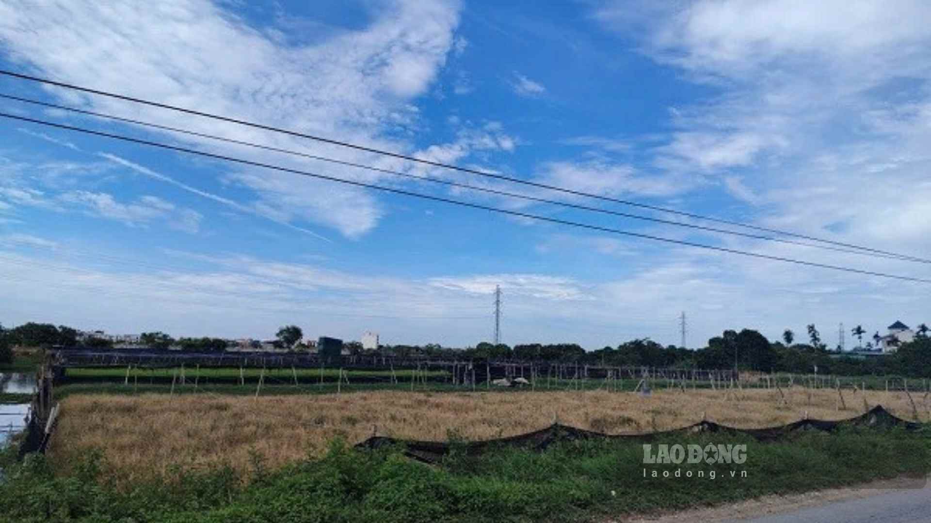 Regulations on agricultural land conversion are of great interest to many people. Photo: Xuyen Dong