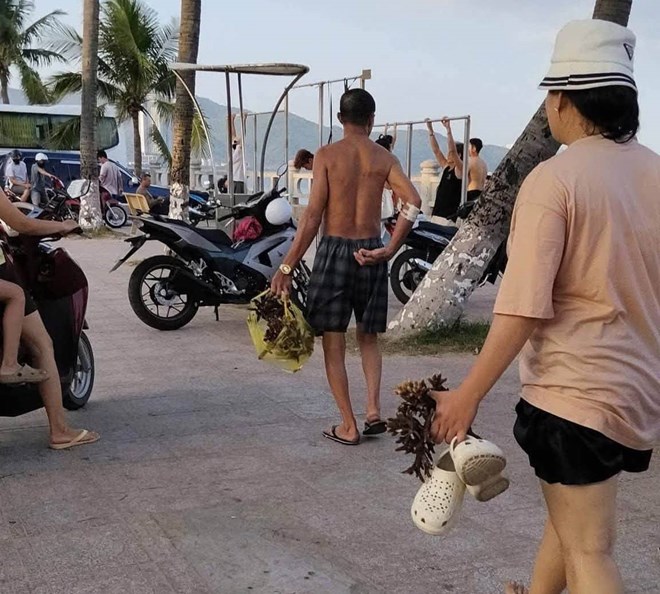 Du khách cầm trên tay nhánh san hô tại khu vực bãi biển Hòn Chồng. Ảnh: Ban Quản lý Vịnh Nha Trang