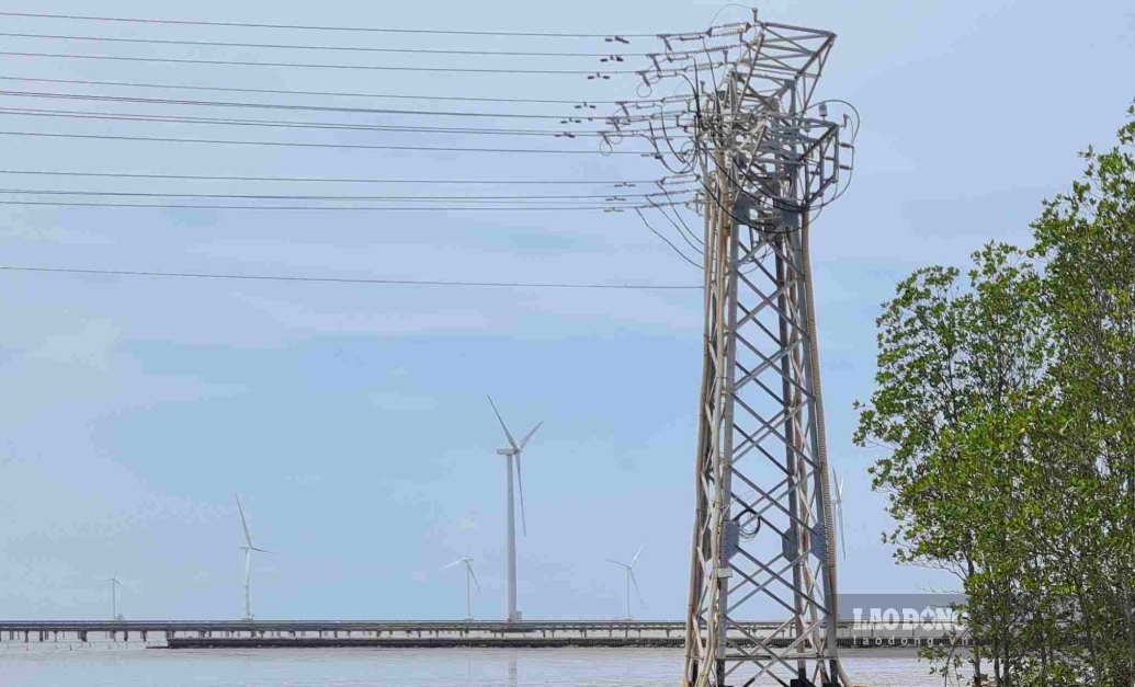 The 500Kv power transmission line project is expected to release power in Ca Mau. Photo: Nhat Ho.