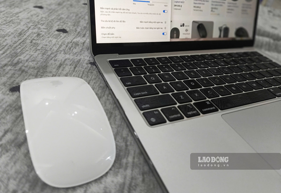 Computer mice suddenly not working can cause users to interrupt work. Photo: Hao Thien