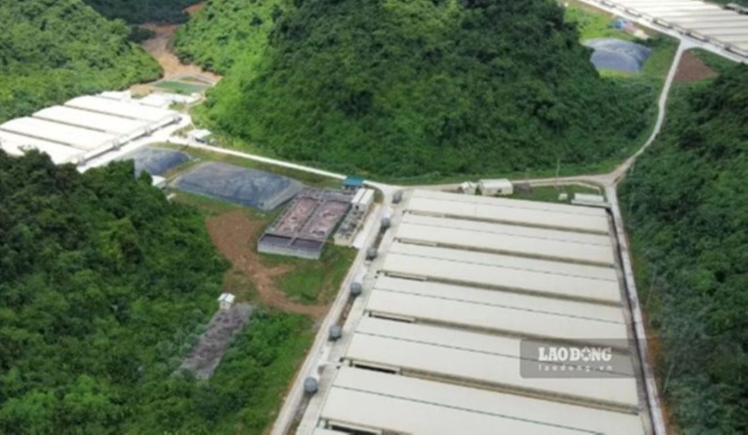 Trang trại lợn của Cty TNHH Dabaco Thanh Hóa - nơi xảy ra vụ tai nạn nghiêm trọng. Ảnh: Minh Hoàng