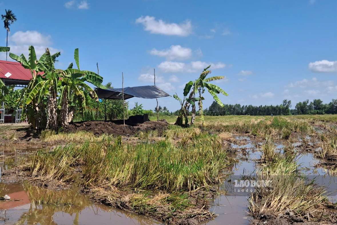 Hài cốt Liệt sĩ Nguyễn Thị Út được