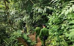 Công an Tuyên Quang xuyên rừng tìm kiếm cụ ông 95 tuổi đi lạc