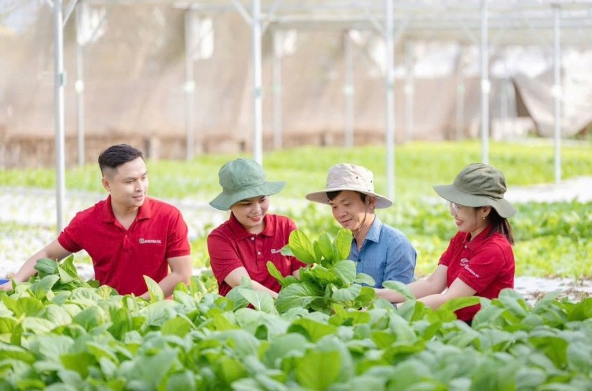 Agribank prioritizes capital sources for green agricultural development, and considers green credit as an important driving force to promote the transformation of the growth model in agriculture. Photo: Agribank