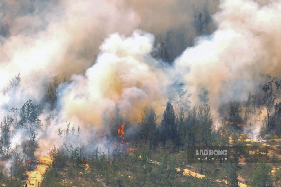 Smoke covers the area where the coastal forest fire occurred in Phu My Dong commune (Gia Lai). Photo: Hoang Nguyen