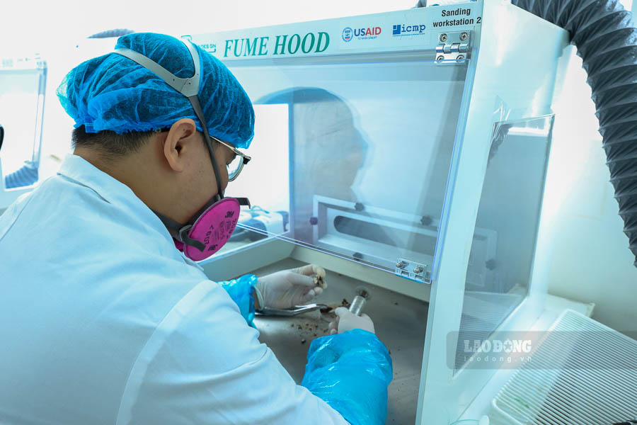 Sau nhiều thập kỷ nằm dưới lòng đất, bề mặt xương thường bị nhiễm vi khuẩn, đất và các tạp chất từ môi trường. Các kỹ thuật viên phải mài bỏ hoàn toàn lớp ngoài, chỉ giữ lại phần lõi sạch nhất trước khi nghiền thành bột mịn để tách chiết ADN.