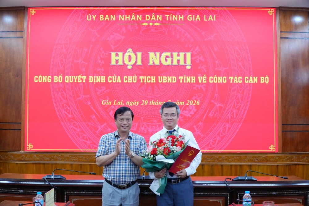 Phó Chủ tịch Thường trực UBND tỉnh Nguyễn Tuấn Thanh (bên trái) trao quyết định bổ nhiệm cho ông Lê Huy Vũ. Ảnh: gialai.gov.vn