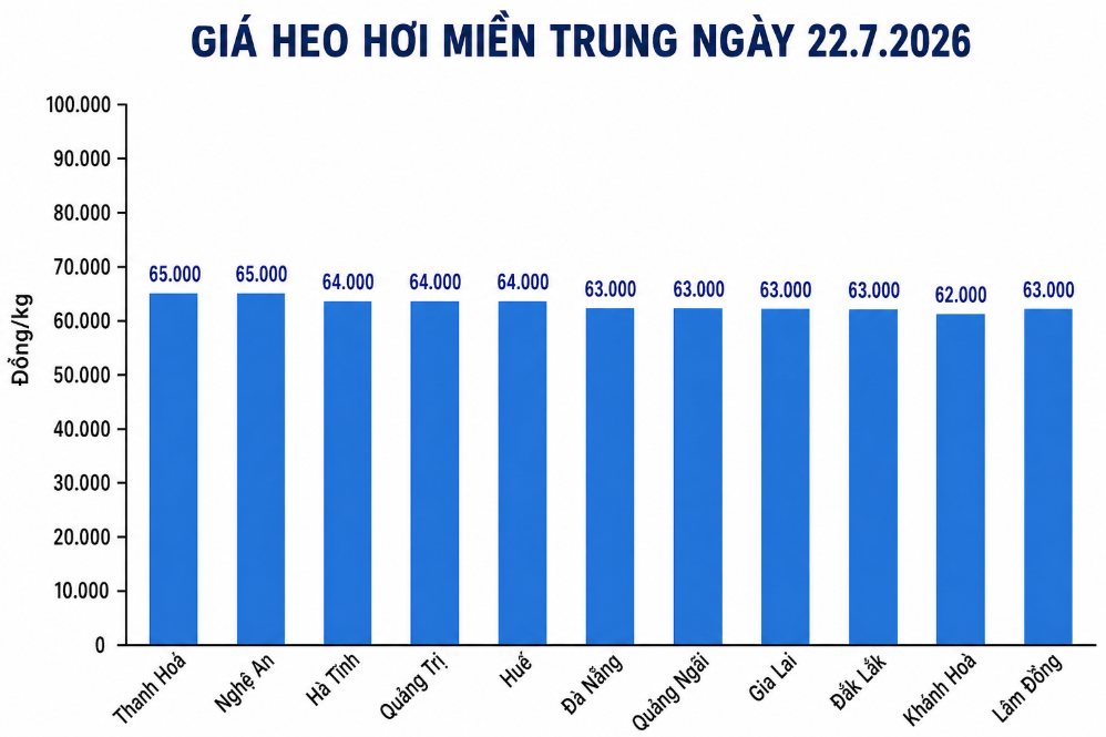 Giá heo hơi hôm nay 22.7 tại khu vực miền Trung. Đồ họa: Thùy Linh