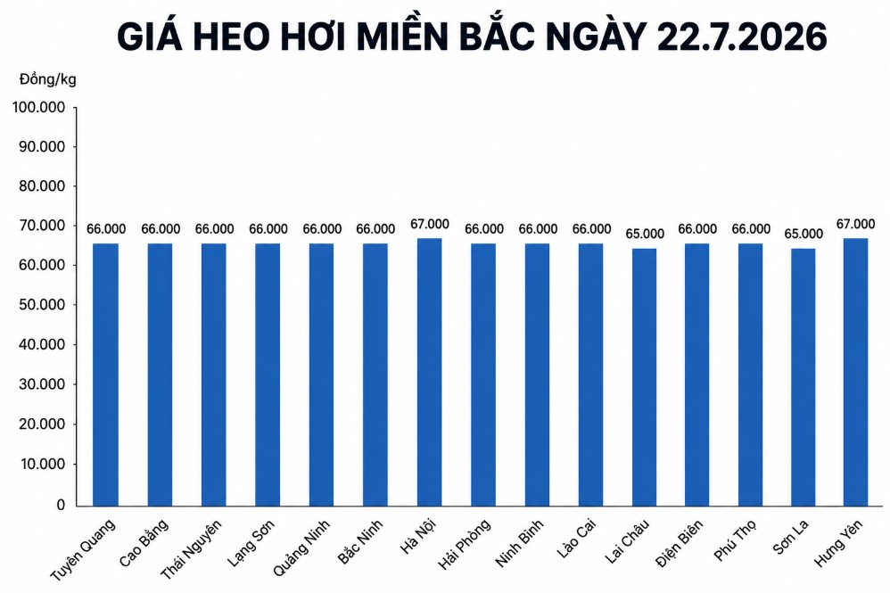 Giá heo hơi hôm nay 22.7 tại khu vực miền Bắc. Đồ họa sử dụng AI