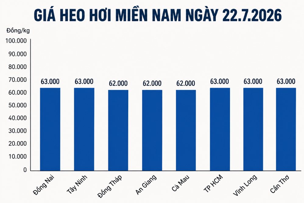 Giá heo hơi hôm nay 22.7 tại khu vực miền Nam. Đồ họa sử dụng AI