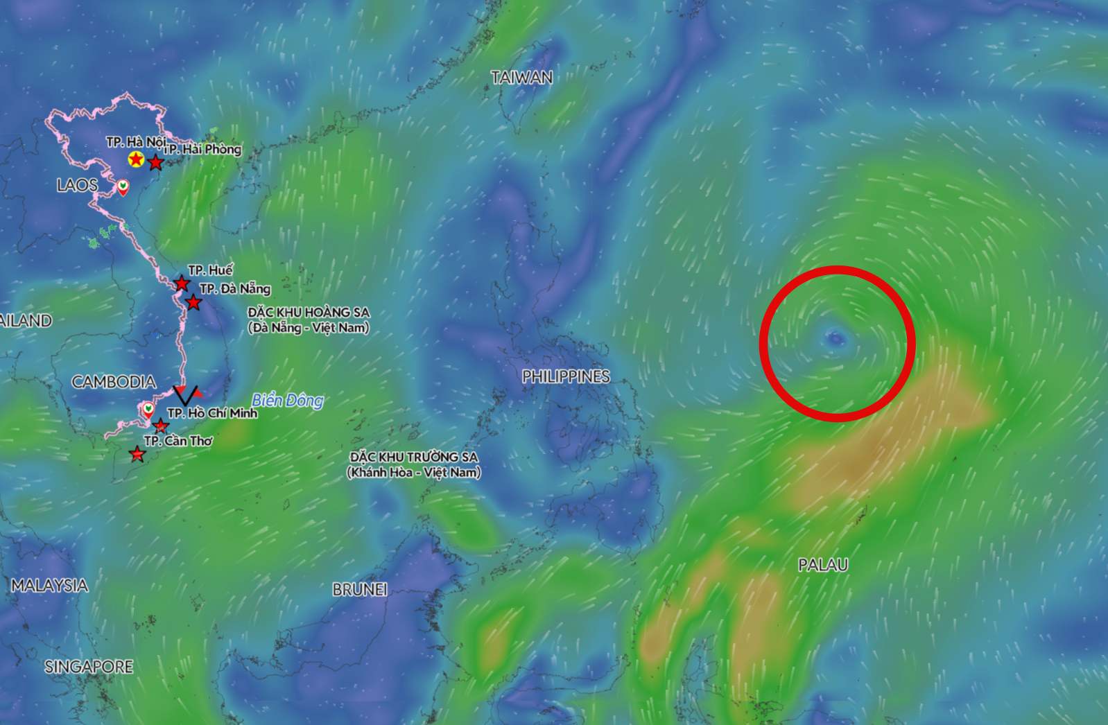 Low pressure is highly likely to strengthen into a storm near the East Sea. Photo: Vietnam Disaster Monitoring System