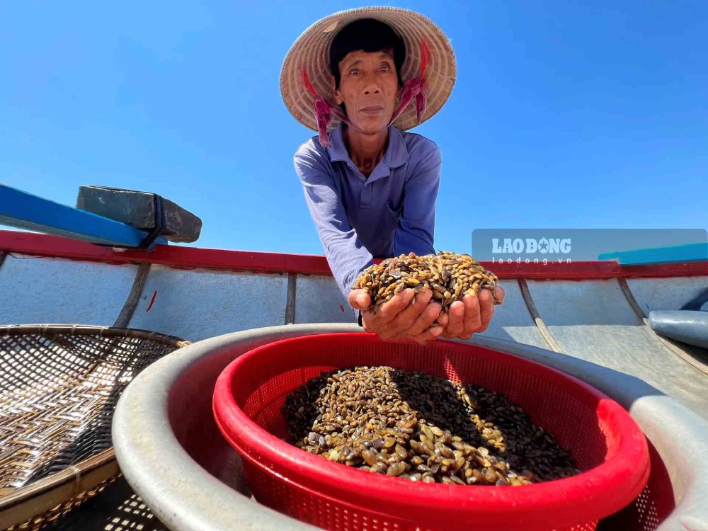 Don được đánh bắt trên sông Trà Khúc, tỉnh Quảng Ngãi. Ảnh: Viên Nguyễn