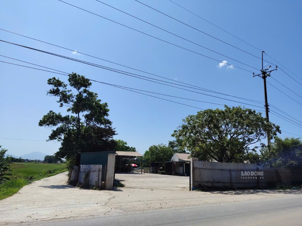 Many people are interested in regulations on converting agricultural land to residential land. Photo: Xuyen Dong