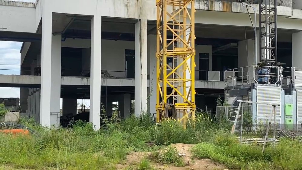 Cỏ mọc đầy khuôn viên công trình, các hoạt động xây dựng bị ngừng thời gian dài. Ảnh Thanh Tuấn