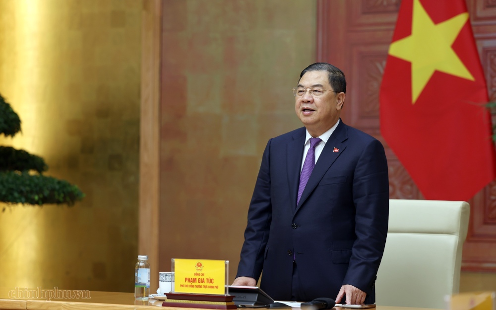 Politburo Member, Standing Deputy Prime Minister Pham Gia Tuc speaks at the meeting of the Vietnam Urban Planning and Development Association. Photo: VGP