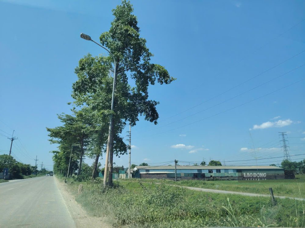 La taxe foncière non agricole intéresse de nombreuses personnes. Photo: Xuyên Đông