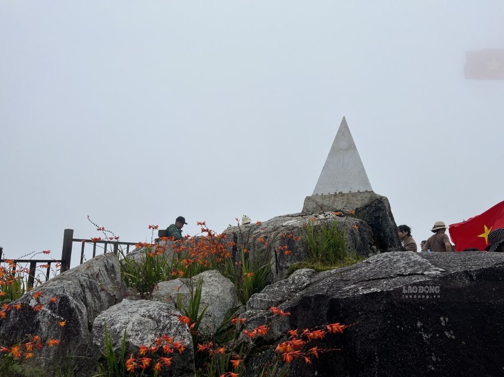 Đỉnh