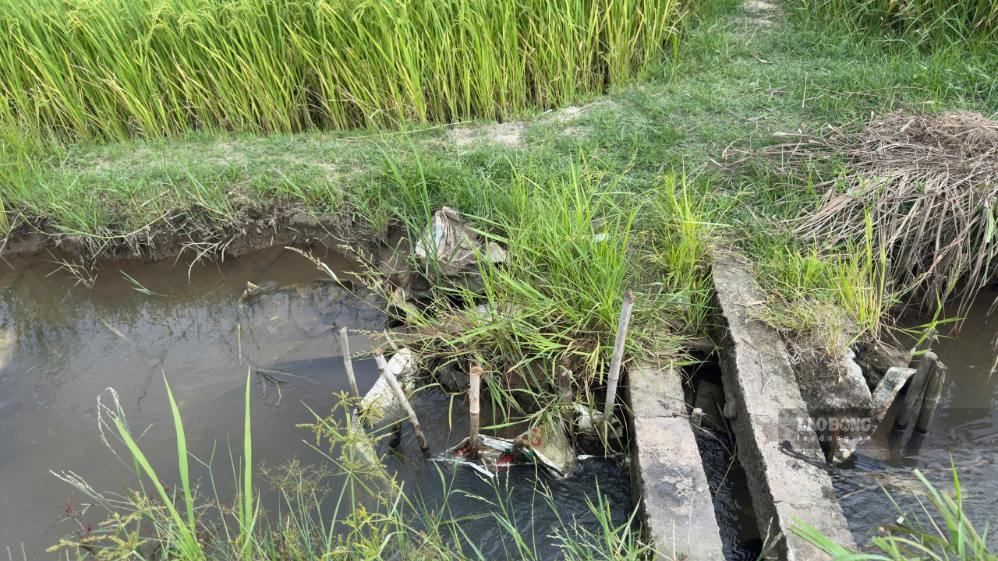 Location of the water ditch where the incident was discovered. Photo: Duy Tuan