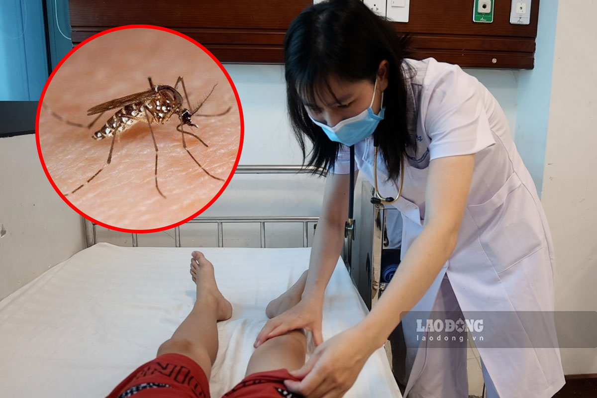 Doctors guide monitoring and proper care for children with dengue fever