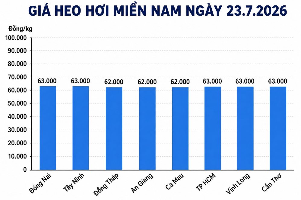 Giá heo hơi hôm nay 23.7 tại khu vực miền Nam. Đồ họa sử dụng AI