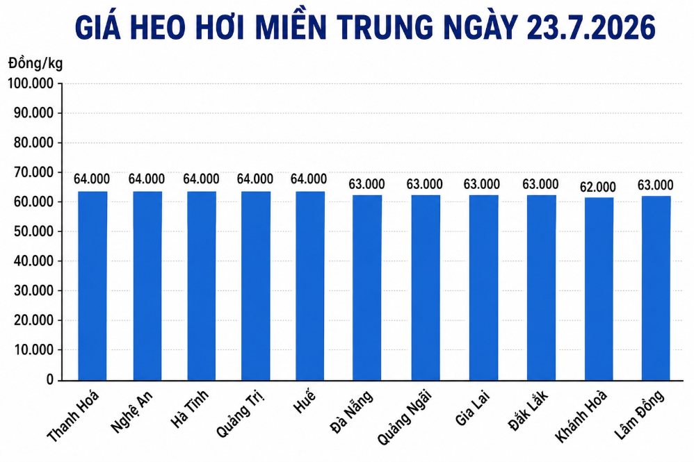 Giá heo hơi hôm nay 23.7 tại khu vực miền Trung. Đồ họa sử dụng AI