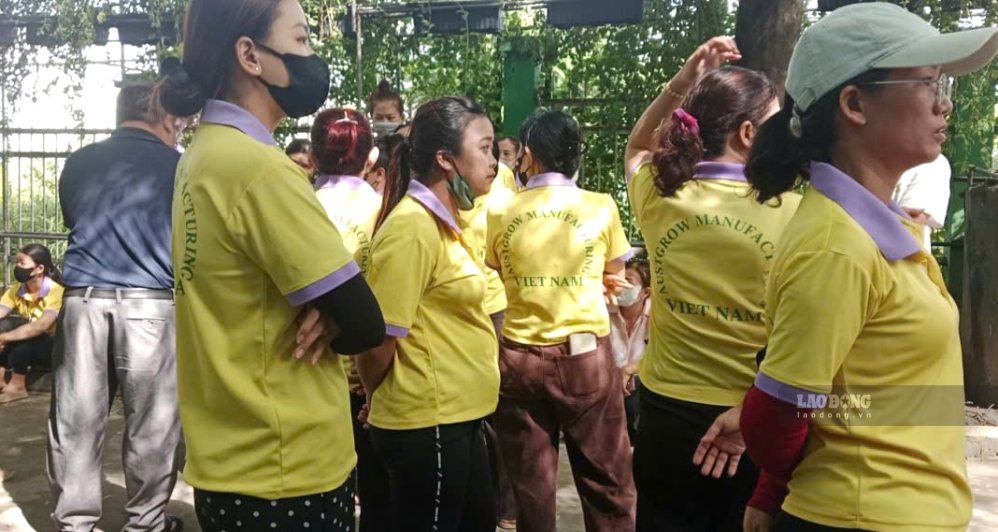 Workers of Austgrow Vietnam International Group Co., Ltd. (Dong Nai) have returned to work. Photo: HAC