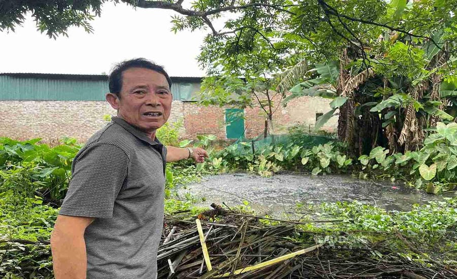 Mr. Nguyen Ngoc Thanh points to the water ditch area that people reflect is being polluted by livestock activities. Photo: Mai Huong
