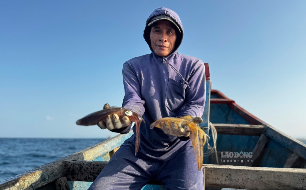 Những con mực tươi được đánh bắt bằng bẫy mực. Ảnh: Viên Nguyễn
