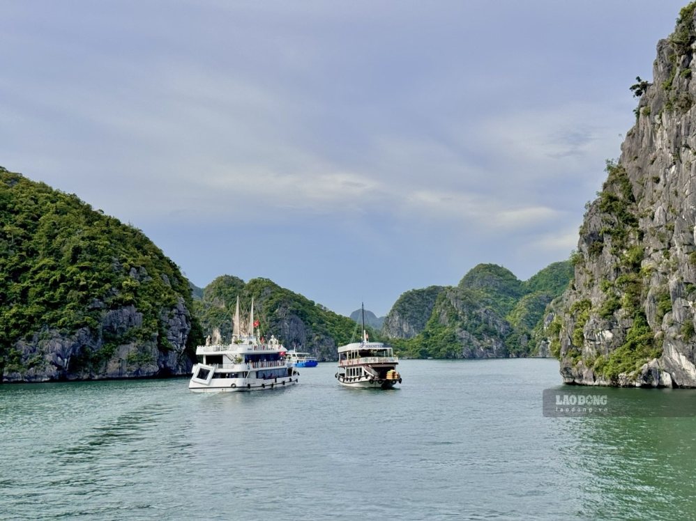Cruise ship exploring Lan Ha Bay. Photo: Linh Boo