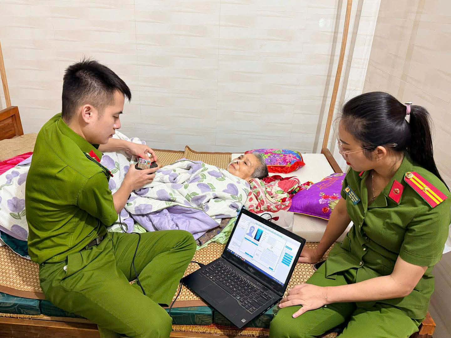 Các tổ