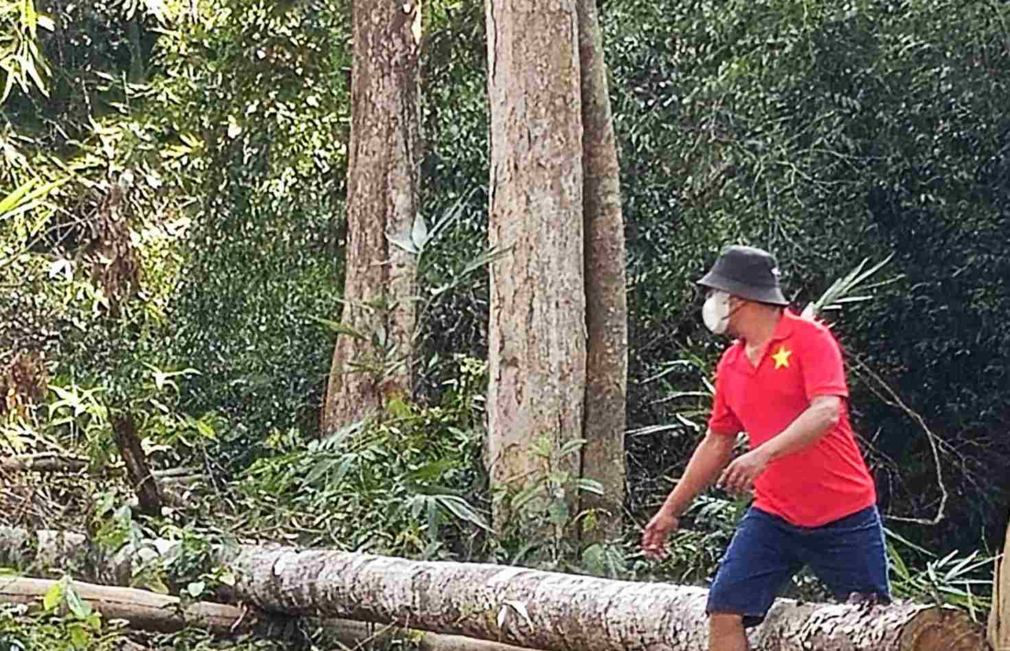 Vi phạm về pháp luật lâm nghiệp trên địa bàn tỉnh Lâm Đồng gia tăng. Ảnh: Phúc Khánh