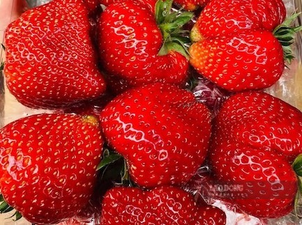 Strawberries are one of the red fruits that effectively support collagen supplementation. Photo: Kieu Vu