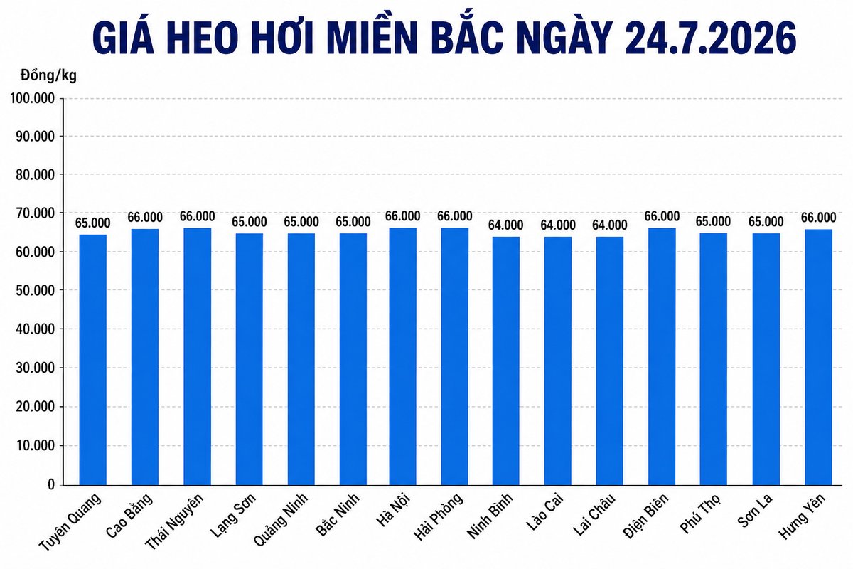 Giá heo hơi hôm nay 24.7 tại khu vực miền Bắc. Đồ họa sử dụng AI 