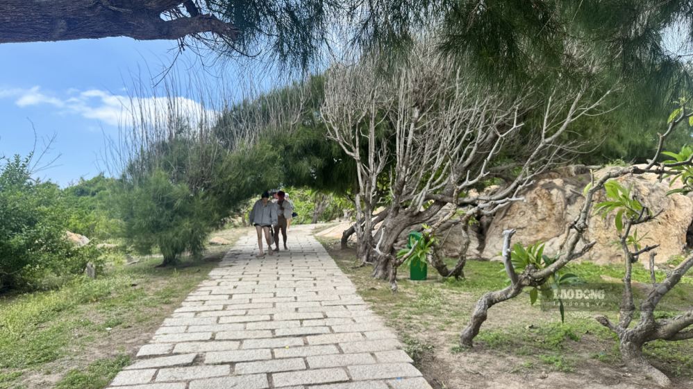 Bên trên đảo Kê Gà. Ảnh: Duy Tuấn
