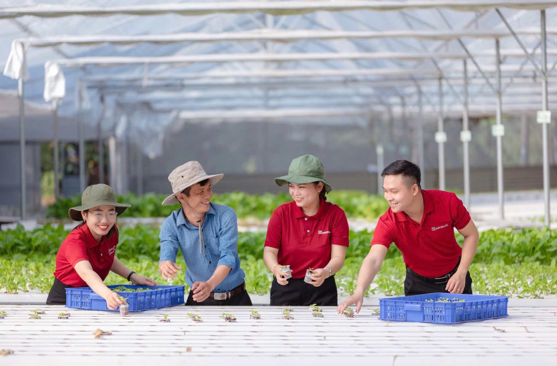 Many preferential loan packages serving production and business activities have been implemented by Agribank. Photo: Agribank provided