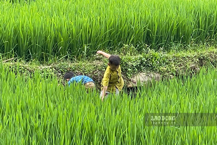Mùa hè mang đến cơ hội tăng thu nhập nhưng cũng khiến nhiều gia đình ít có thời gian dành cho con. Ảnh: Đinh Đại