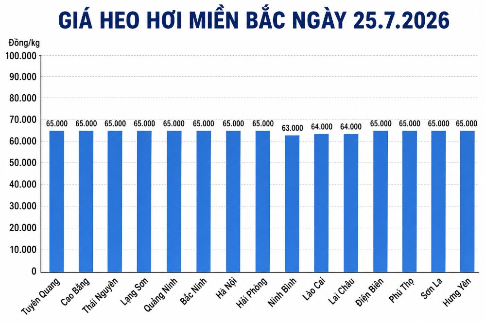Giá heo hơi hôm nay 25.7 tại khu vực miền Bắc. Đồ họa sử dụng AI
