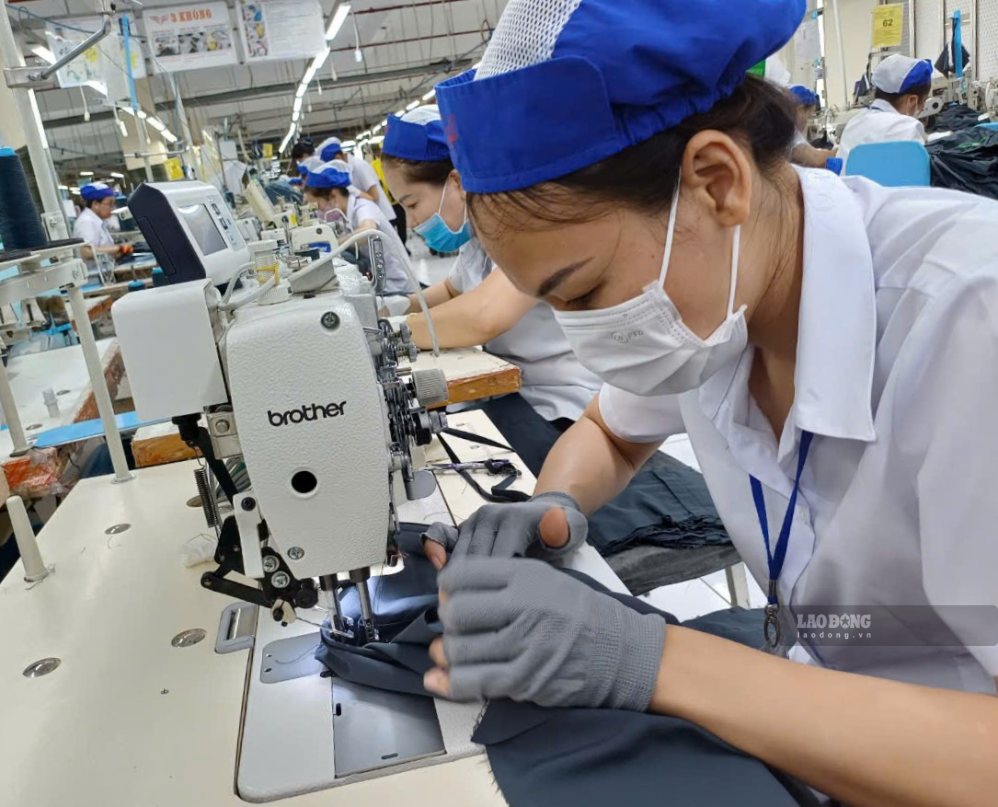 BHXH TPHCM khuyến cáo, việc khảo sát không yêu cầu người dân cung cấp mật khẩu, mã OTP, số PIN, thông tin tài khoản ngân hàng hoặc thực hiện chuyển tiền. Ảnh: Nam Dương
