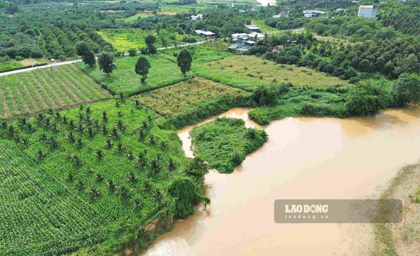 Sạt lở ngày càng ăn sâu khiến nhiều diện tích đất sản xuất của hàng chục hộ dân khu vực Mỏ Vẹt trôi sông. Ảnh: Phúc Khánh